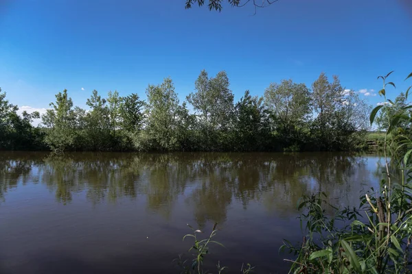 Akan doğada güzel bir kaynak nehri. Sabahları ve akşamları renkli manzaralar. Dünyanın ıssız yerlerine seyahat et. Tasarım için stok fotoğrafı
