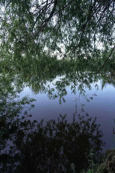 Hermoso Río Primavera Naturaleza Que Fluye Paisaje Colorido Por Mañana —  Fotos de Stock