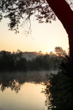Güzel bir sabah nehri, sisli bir göl ve güneş ışınları. Akşamları ağaçlar ve çalılar parlıyor. Tasarım için stok doğa arka planı.