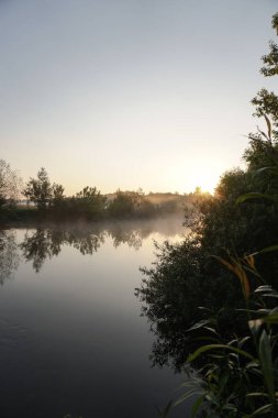 Güzel bir sabah nehri, sisli bir göl ve güneş ışınları. Akşamları ağaçlar ve çalılar parlıyor. Tasarım için stok doğa arka planı.