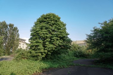 1986 'da terk edilmiş binaların kalıntıları. Çernobil 'deki Sovyet mimarisi. Virüslü insanlara bulaşma tehlikesi, radyasyon. Korkunç Grunge Arkaplanı