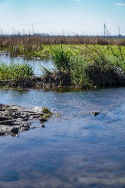 Akan doğada güzel bir kaynak nehri. Sabahları ve akşamları renkli manzaralar. Dünyanın ıssız yerlerine seyahat et. Tasarım için stok fotoğrafı