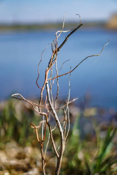 Nydelig Kildeelv Den Flytende Naturen Fargerikt Landskap Morgen Kveld Reise – stockfoto