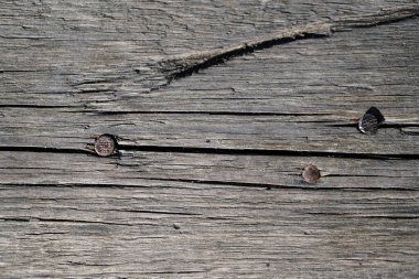 Güzel eski ahşap doku. Duvar kağıdı için ahşap tahta. Tasarım için stok arkaplanı