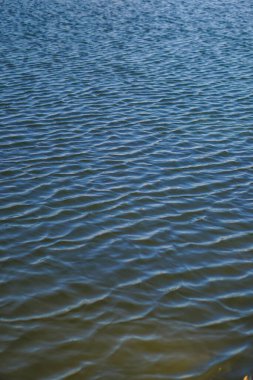 Nehir ve gölün güzel yüzeyi. Havuz ve doğadaki rüzgardan gelen dalgalar. Tasarımınız için arkaplan.