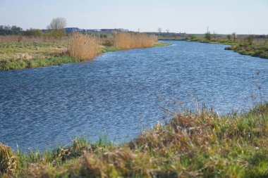 Akan doğada güzel bir kaynak nehri. Sabahları ve akşamları renkli manzaralar. Dünyanın ıssız yerlerine seyahat et. Tasarım için stok fotoğrafı