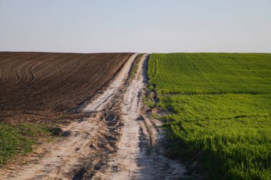 Şehrin dışındaki bir tarlada muhteşem toprak yol. Baharda bir çayırda bakımsız bir patika. Tasarım için stok arkaplanı