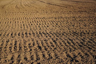 Sonsuz tarla sürdüm. Tarım sektörünün verimli toprakları. Bahçedeki kara toprağa ekiliyor. Endüstriyel hisse teması
