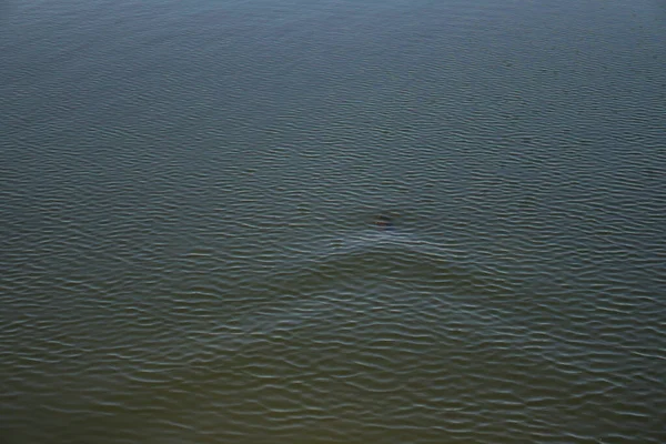 Schöne Oberfläche Des Wassers Von Fluss Und See Teich Und — Stockfoto