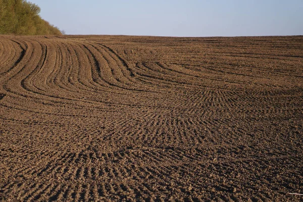 Colpito Campo Fattoria Senza Fine Terra Fertile Del Settore Agricolo — Foto Stock