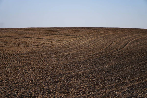 Καλλιεργείται Ατελείωτο Χωράφι Εύφορη Του Γεωργικού Τομέα Σπέρνοντας Μαύρο Χώμα — Φωτογραφία Αρχείου