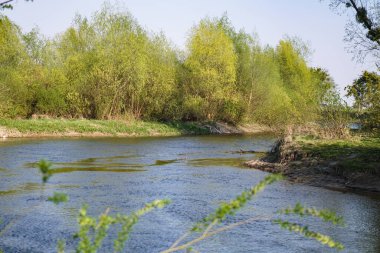 Akan doğada güzel bir kaynak nehri. Sabahları ve akşamları renkli manzaralar. Dünyanın ıssız yerlerine seyahat et. Tasarım için stok fotoğrafı