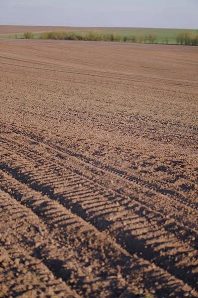 Campo Fazenda Sem Fim Terra Fértil Sector Agrícola Semear Solo — Fotografia de Stock