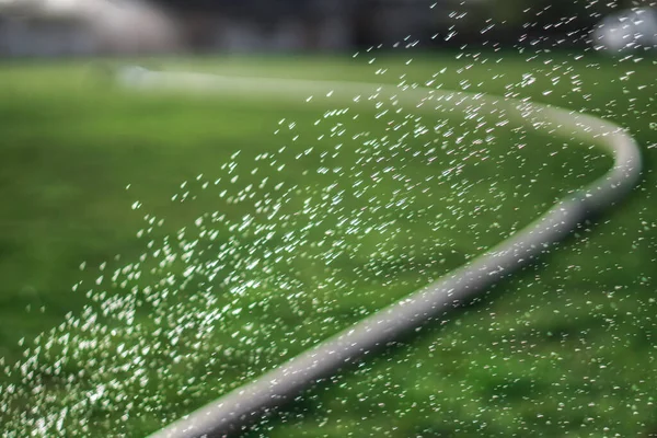 現場の灌漑システムだ 壊れたホースが水を漏らす 緑の美しい背景 村の庭 — ストック写真