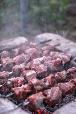 Ateşte kavrulmuş et. Kamp kebabı pişiriyorum. Barbekü