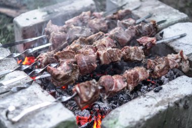 Ateşte kavrulmuş et. Kamp kebabı pişiriyorum. Barbekü