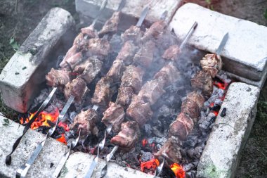 Ateşte kavrulmuş et. Kamp kebabı pişiriyorum. Barbekü
