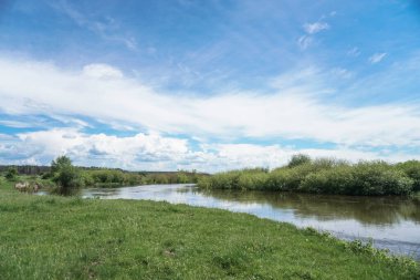 Akan doğada güzel bir kaynak nehri. Sabahları ve akşamları renkli manzaralar. Dünyanın ıssız yerlerine seyahat et. Tasarım için stok fotoğrafı