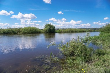 Akan doğada güzel bir kaynak nehri. Sabahları ve akşamları renkli manzaralar. Dünyanın ıssız yerlerine seyahat et. Tasarım için stok fotoğrafı