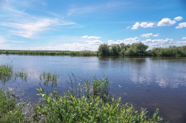 Akan doğada güzel bir kaynak nehri. Sabahları ve akşamları renkli manzaralar. Dünyanın ıssız yerlerine seyahat et. Tasarım için stok fotoğrafı