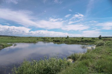 Akan doğada güzel bir kaynak nehri. Sabahları ve akşamları renkli manzaralar. Dünyanın ıssız yerlerine seyahat et. Tasarım için stok fotoğrafı