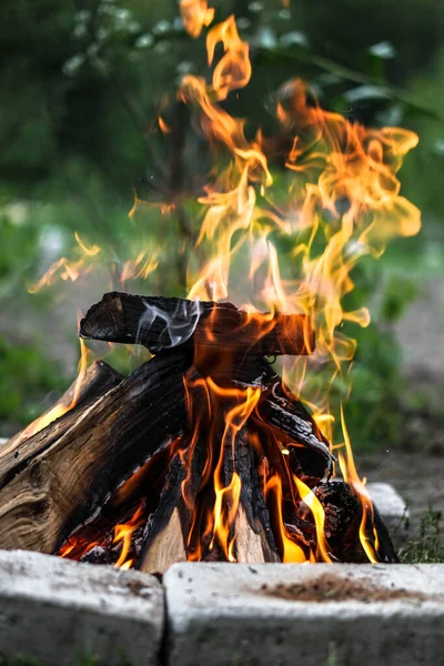 キャンプ旅行で一日中美しい小さなたき火 デザインの背景 — ストック写真