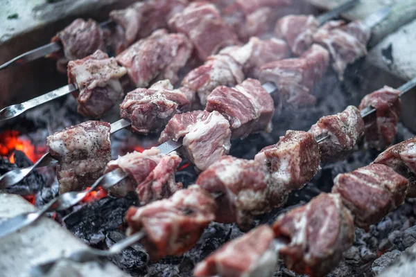 Carne Assada Fogo Camping Cozinhar Kebab Churrasco — Fotografia de Stock