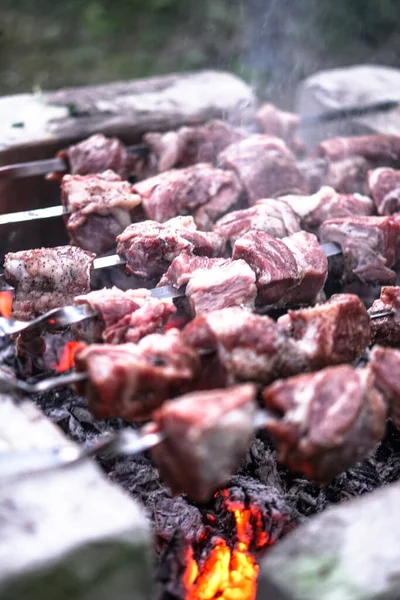 Carne Assada Fogo Camping Cozinhar Kebab Churrasco — Fotografia de Stock