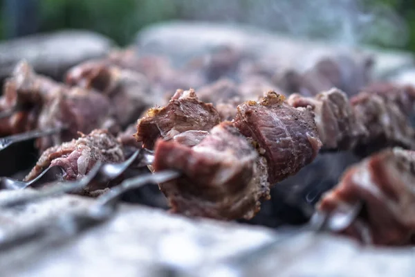 Carne Assada Fogo Camping Cozinhar Kebab Churrasco — Fotografia de Stock