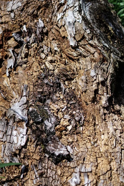 Decrepit Texture Wood Sawdust Stock Background Design Shattered Materials — Stock Photo, Image