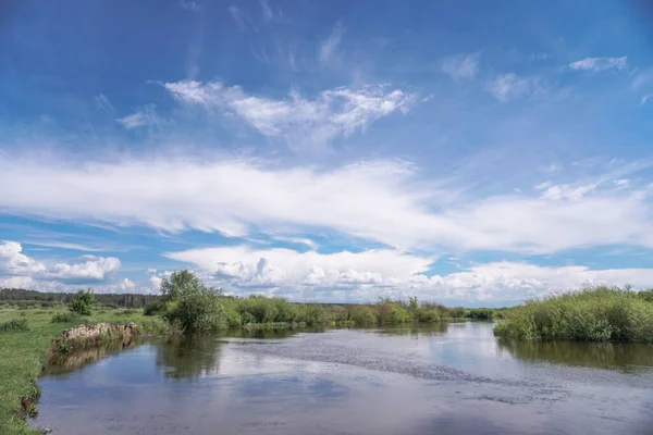 Vacker Vårflod Den Strömmande Naturen Färgglada Landskap Morgonen Och Kvällen — Stockfoto