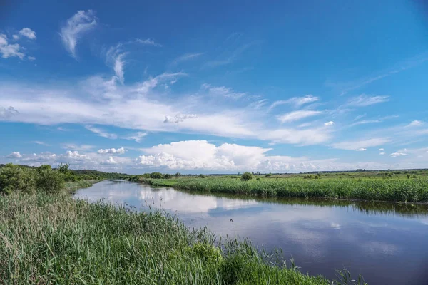 Vacker Vårflod Den Strömmande Naturen Färgglada Landskap Morgonen Och Kvällen — Stockfoto