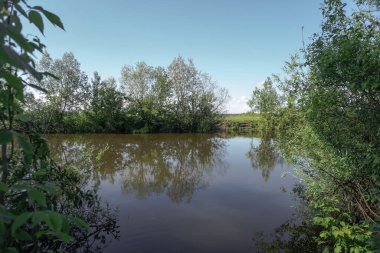 Akan doğada güzel bir kaynak nehri. Sabahları ve akşamları renkli manzaralar. Dünyanın ıssız yerlerine seyahat et. Tasarım için stok fotoğrafı