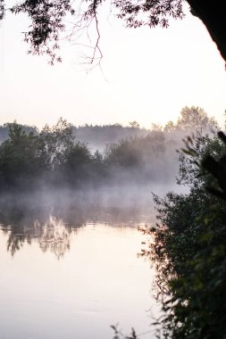 Güzel bir sabah nehri, sisli bir göl ve güneş ışınları. Akşamları ağaçlar ve çalılar parlıyor. Tasarım için stok doğa arka planı.