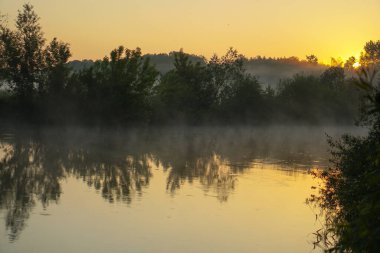 Güzel bir sabah nehri, sisli bir göl ve güneş ışınları. Akşamları ağaçlar ve çalılar parlıyor. Tasarım için stok doğa arka planı.