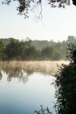 Güzel bir sabah nehri, sisli bir göl ve güneş ışınları. Akşamları ağaçlar ve çalılar parlıyor. Tasarım için stok doğa arka planı.