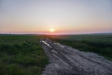 Şehrin dışındaki bir tarlada muhteşem toprak yol. Baharda bir çayırda bakımsız bir patika. Tasarım için stok arkaplanı