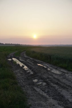 Şehrin dışındaki bir tarlada muhteşem toprak yol. Baharda bir çayırda bakımsız bir patika. Tasarım için stok arkaplanı