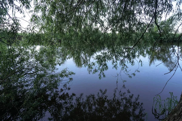 Hermoso Río Primavera Naturaleza Que Fluye Paisaje Colorido Por Mañana —  Fotos de Stock