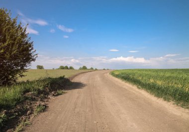 Tepelerin arasındaki yol tarlasında. Doğadaki manzara parktaki rezerv içinde. Stok fotoğraf arkaplanı
