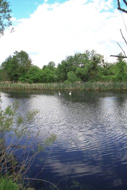 Yazın dağlık bölgede güzel bir nehir. Tepelerin arkasındaki ekolojik olarak temiz bir park bölgesinde. Baharda güzel bir manzara. Tasarım için stok fotoğrafı