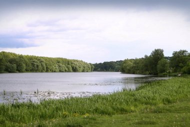 Sibirya 'nın güzel bir bölgesinde güzel bir nehir. Kanada 'da soğuk gölü olan bir manzara. Stok fotoğraf arkaplanı.