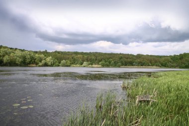 Güzel bir nehir manzarası ve tepelerin arkasında kuğular. Avrupa 'daki ekolojik bölgede bir göl. Tasarım için resim stoku.