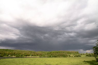 Ağaçlar ve çimlerle kaplı yaz manzarası. Tasarımın için güzel bir arka plan. Tasarım için resim stoku.