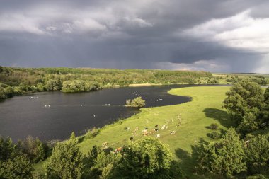Güzel manzaralı güzel bir dağ nehri. Dere kenarındaki bir kaya parçası. Tasarım için stok manzarası