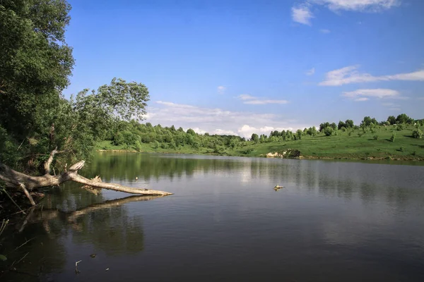 Όμορφο Ποτάμι Στα Υψίπεδα Καλοκαίρι Λίμνη Ένα Οικολογικά Καθαρό Πάρκο — Φωτογραφία Αρχείου