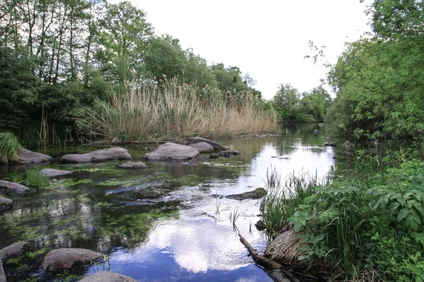 Vacker Flod Höglandet Sommaren Sjön Ekologiskt Ren Park Reservat Bakgrund — Stockfoto