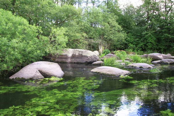 Vacker Flod Höglandet Sommaren Sjön Ekologiskt Ren Park Reservat Bakgrund — Stockfoto