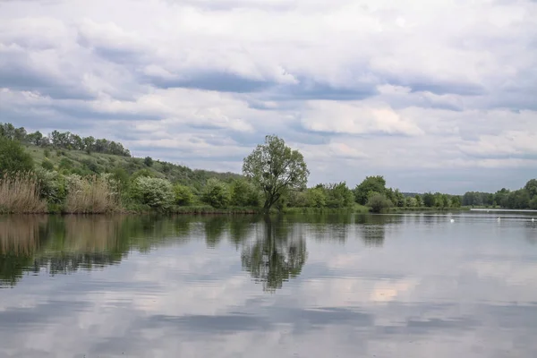 Krásná Řeka Vysočině Létě Jezero Ekologicky Čisté Park Rezervy Pozadí — Stock fotografie