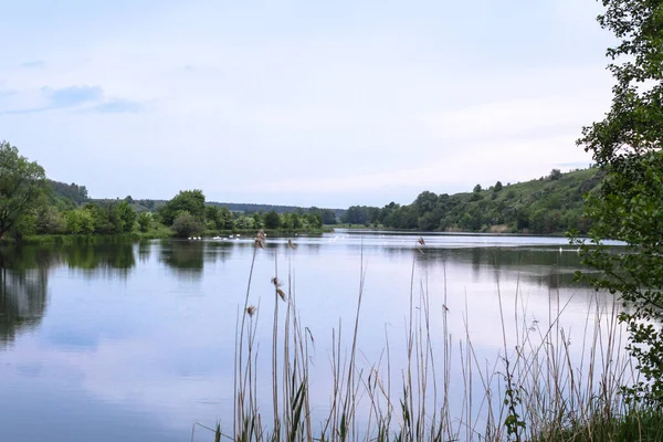Schöner Fluss Hochland Sommer See Einem Ökologisch Sauberen Park Reservat — Stockfoto